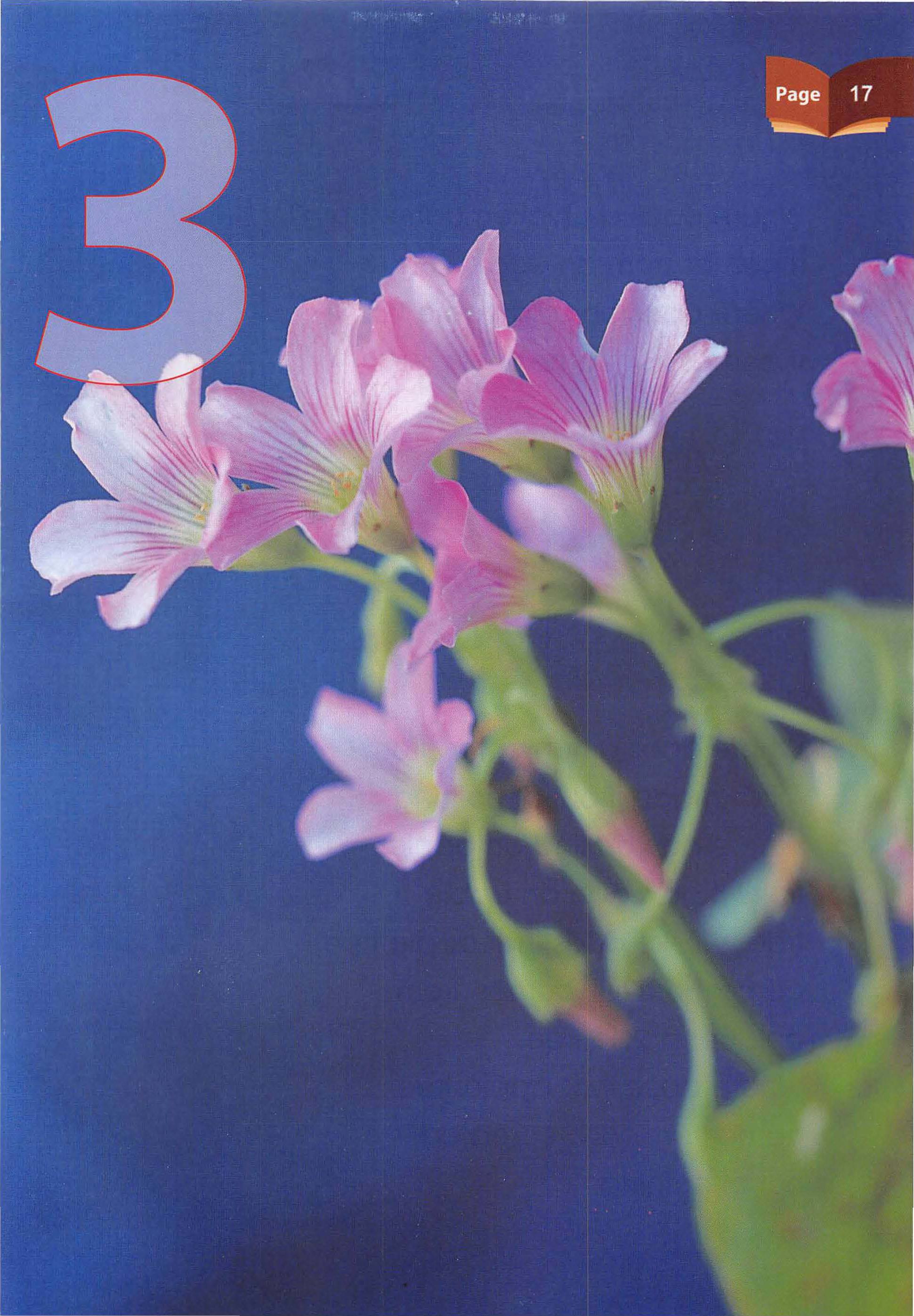 Islamic Studies Grade 01 - Page 12