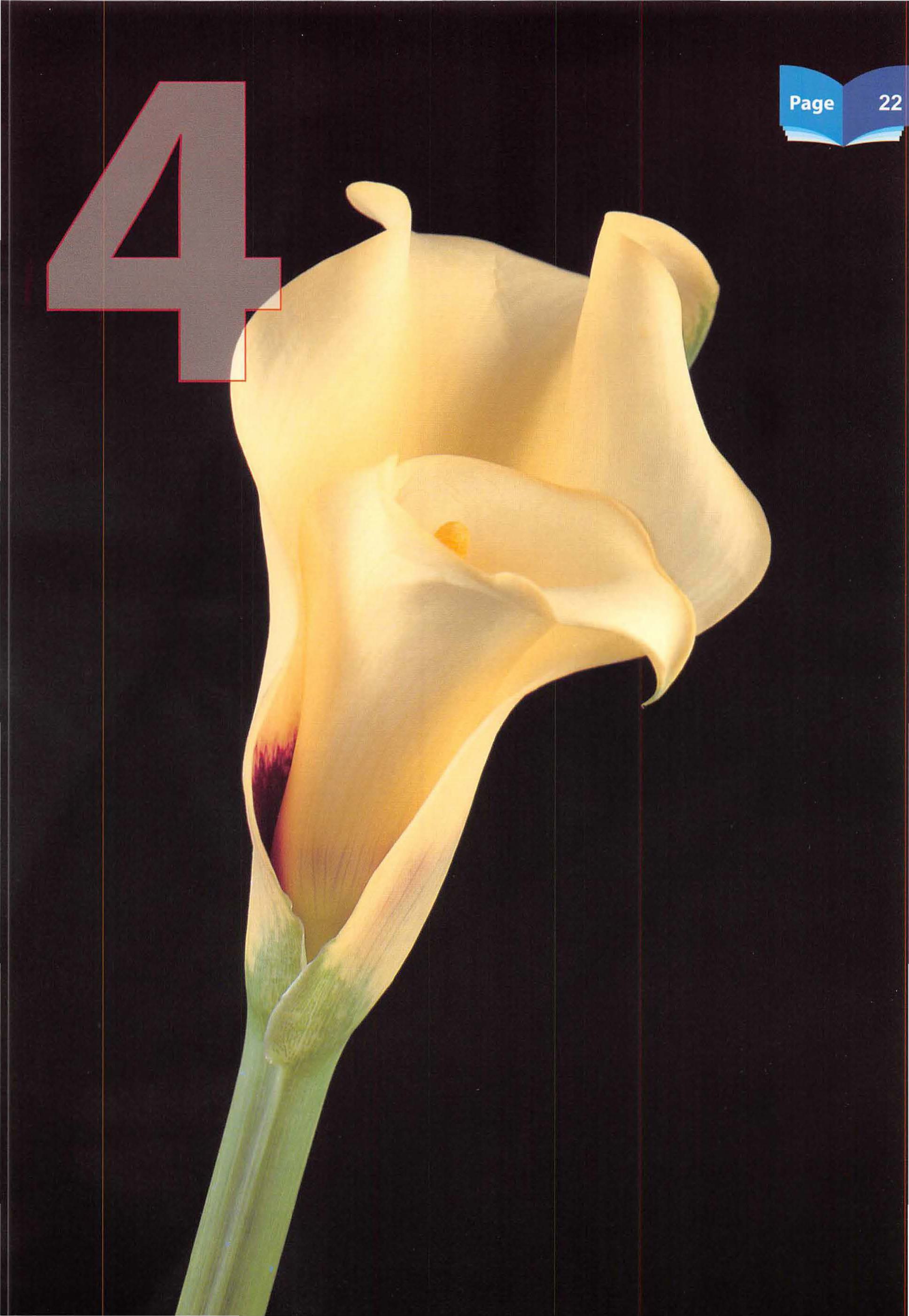 Islamic Studies Grade 01 - Page 17