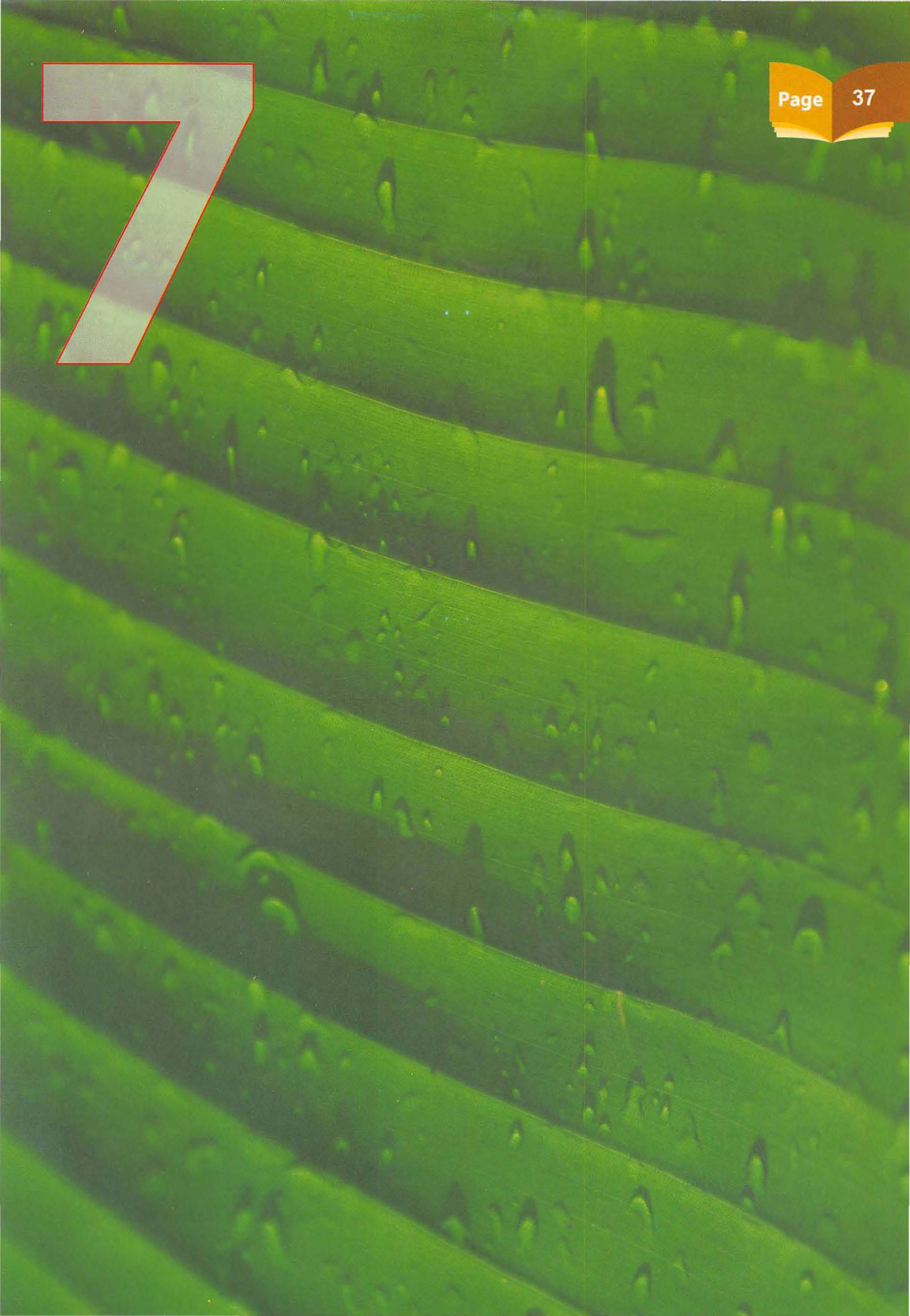 Islamic Studies Grade 01 - Page 32